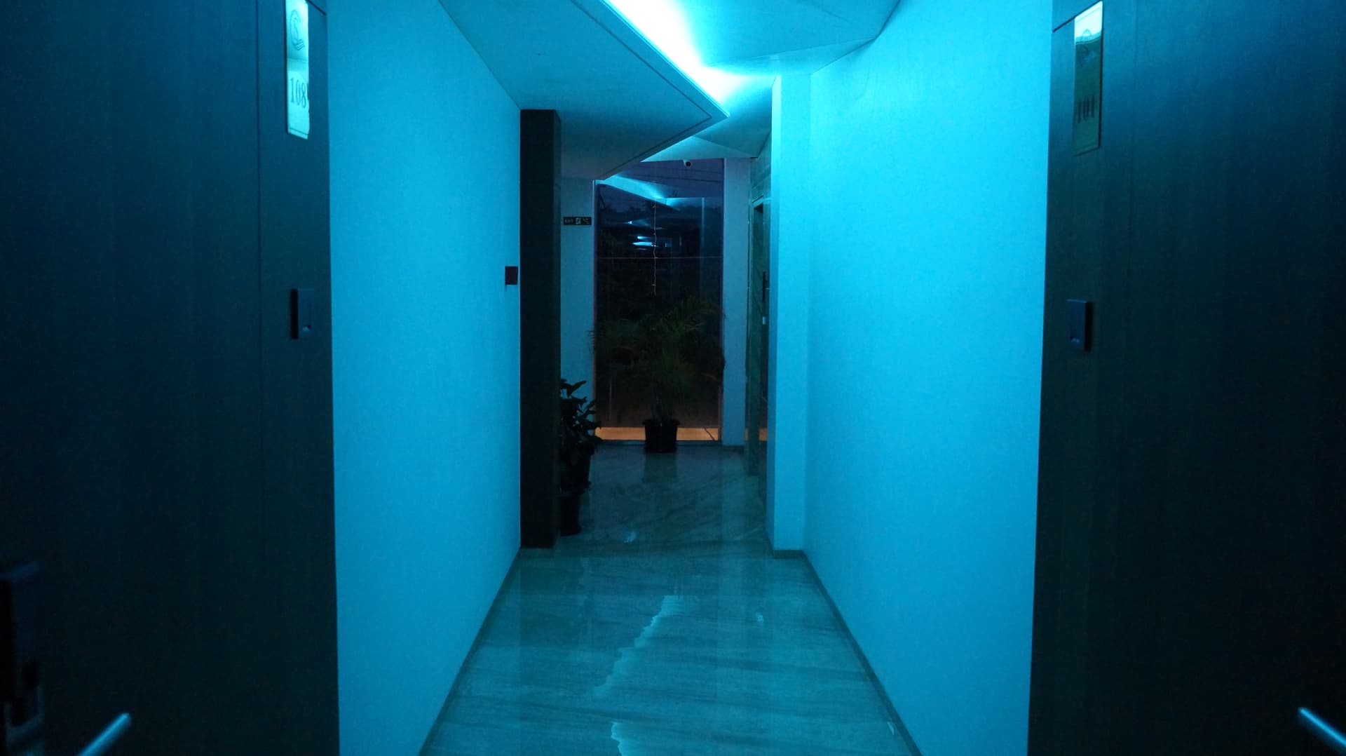 Hotel Sea Port — Festive Lobby Decoration